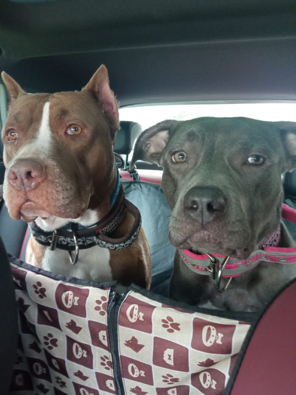 8C90425B-91AB-4053-88F8-34A31C490246