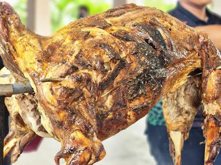 Kambing Aqiqah 1