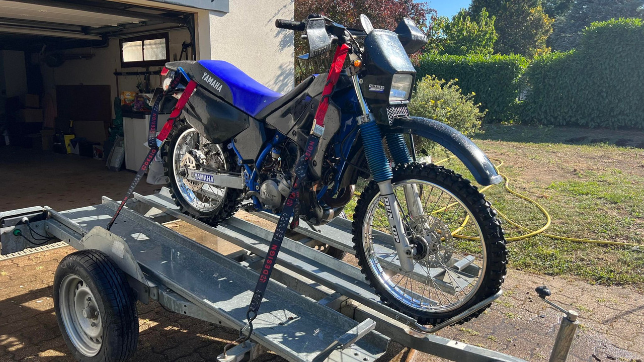 356545116_234759332770847_5908943925761571218_n