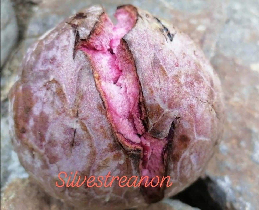 0697D5D1-3FE3-40D0-BFE8-E51ED16B1352