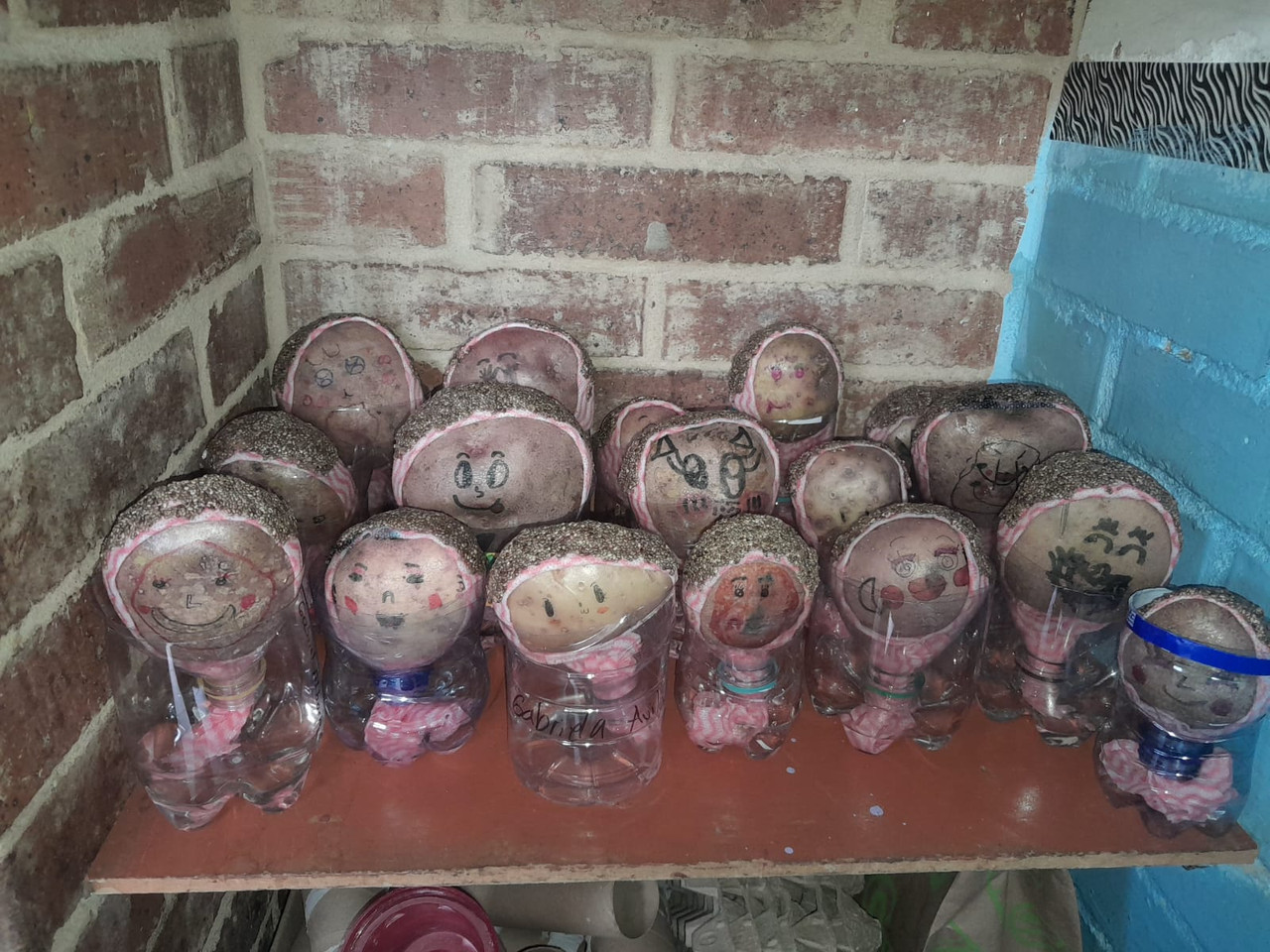 Clases Particulares (47)