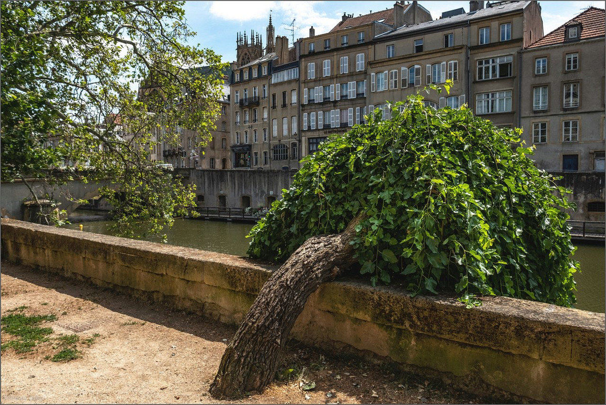 0XT26093 2019 Metz LR ERWZ FB