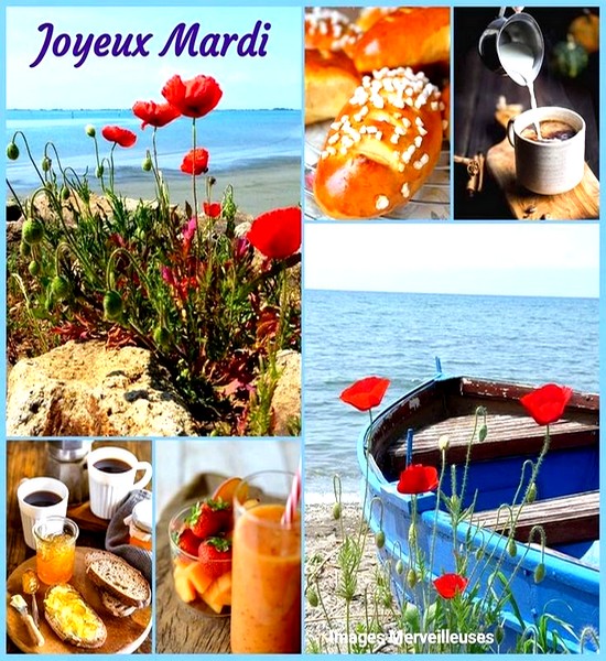 mardi