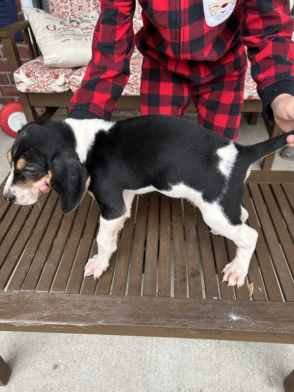 255ED898-CE67-4C5B-9B74-231BFBD929B5