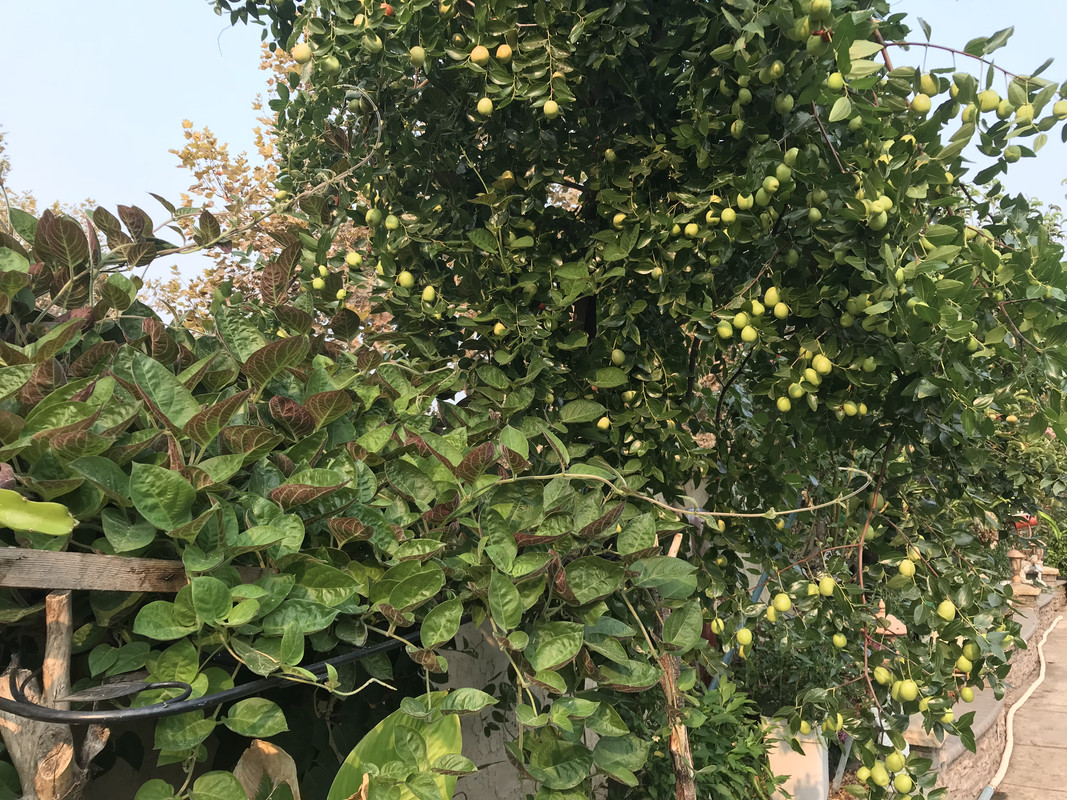 2D380844-D0F4-496F-B86A-8F3E3884C261