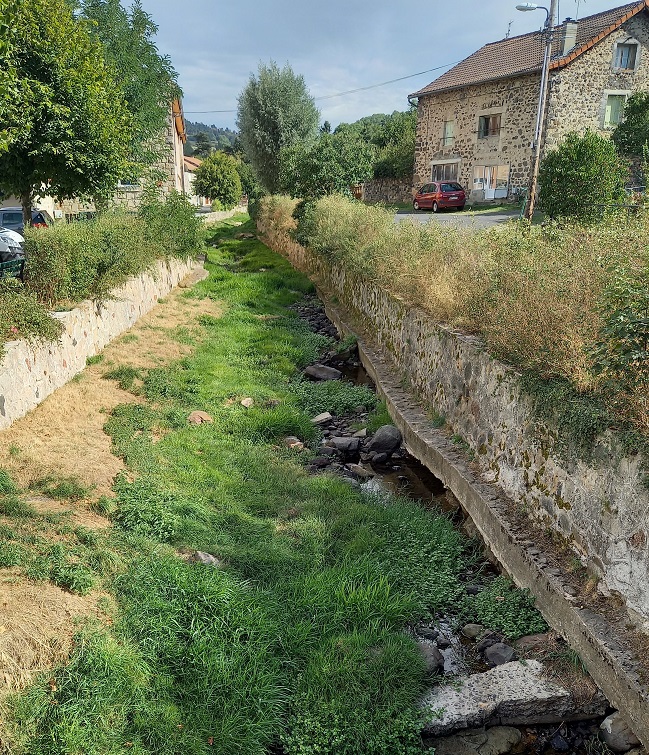 20230911-162419.jpg