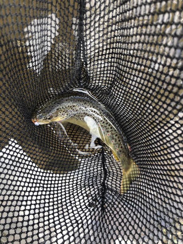 FCBA0E1D-61B6-4721-B079-17EBA63E5F17