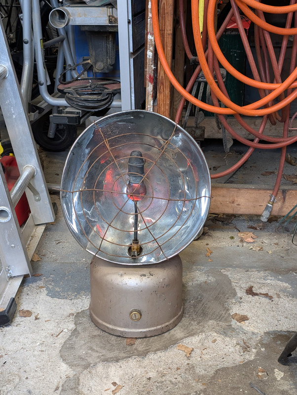 PXL 20260208 183750543 Original