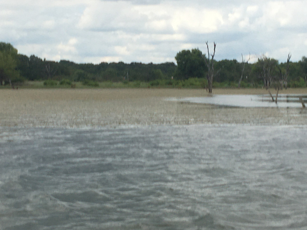 37F1DF29-D16D-476C-8EDF-9375D63A61B4