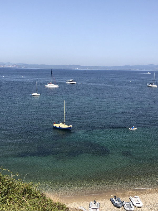 9C12D06B-F949-4115-AC15-99B41A9A0BA2