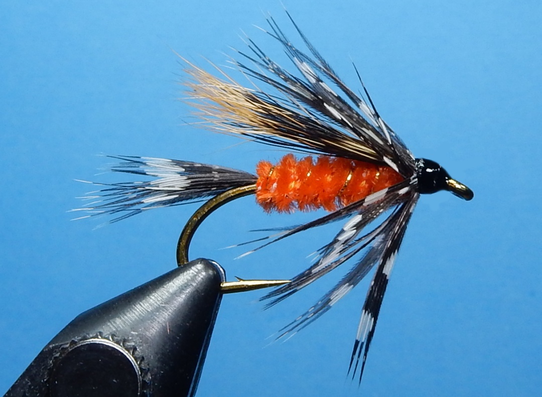 Wyatt-s-Trude-1080.jpg Wyatt-s-Trude-1080.jpg