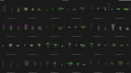 Unreal Engine Asset - Maxtree Plant Models Vol. 29 (4.27)