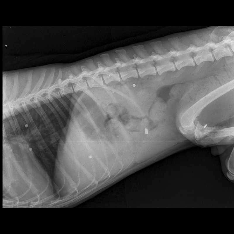 IMG 20260317 233932 243