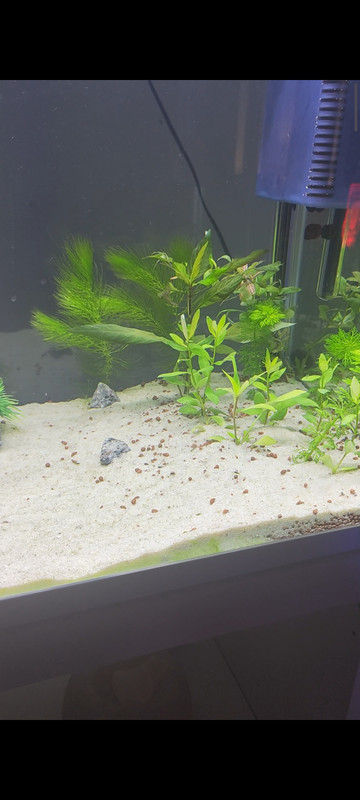 Screenshot_2025-01-27-19-58-53-070_com.miui.videoplayer