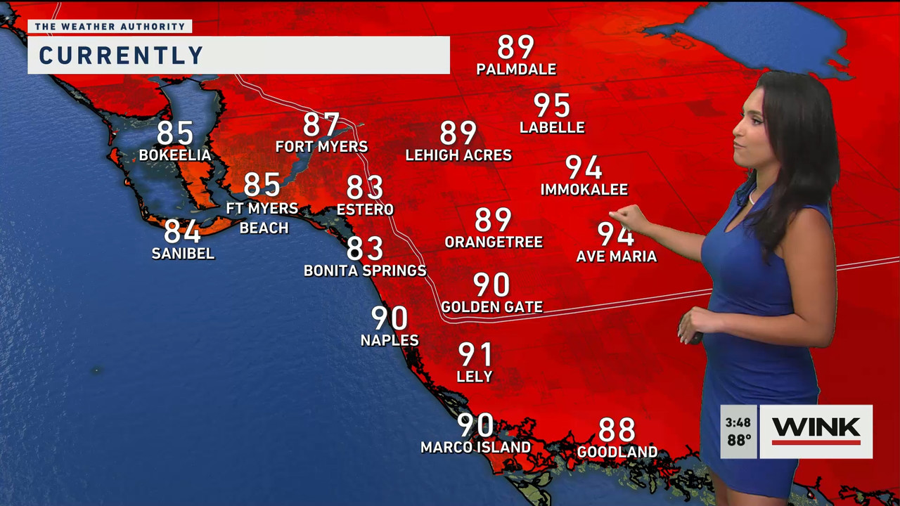 05.24 - 20.00.00 - WINK News at 3 00 p.m._001.ts_snapshot_00.43.468