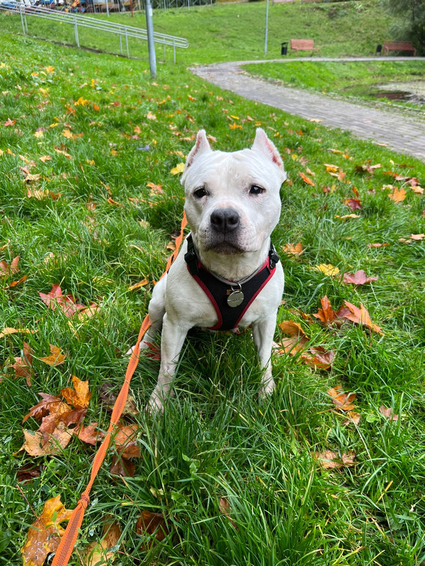 9F85009A-D25B-4E30-88B8-D348001FB8DF