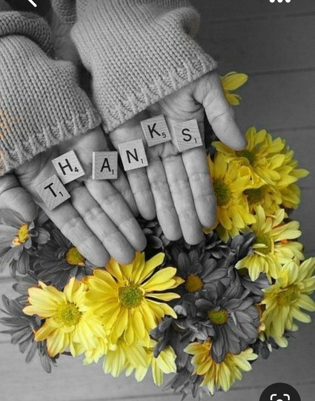 Screenshot_20230422_232201_Pinterest