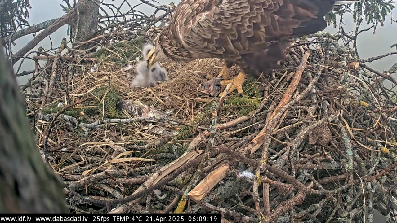 vlcsnap-2025-04-21-07h30m57s436