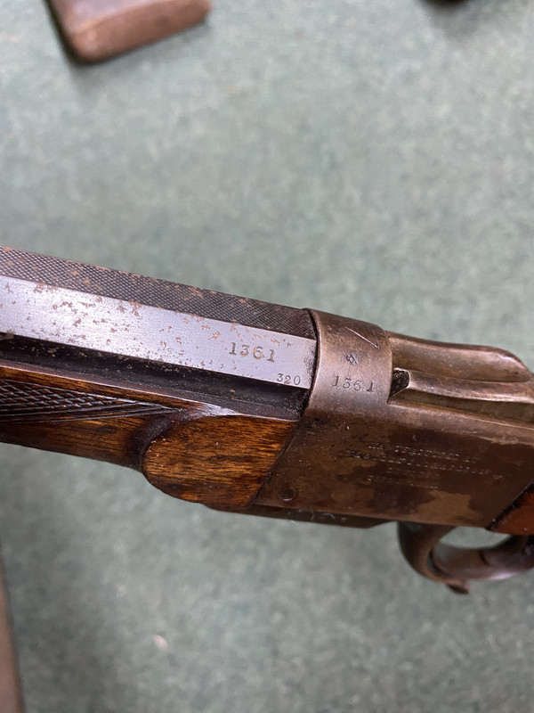 5866E461-AC99-4174-B349-D549281B666D