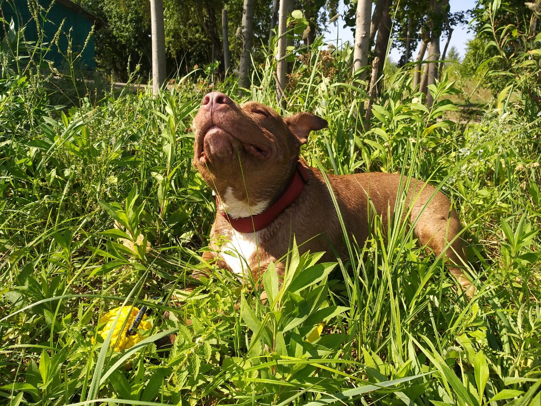 1E7C24E4-788D-4A2D-949C-F6501B9A9C47