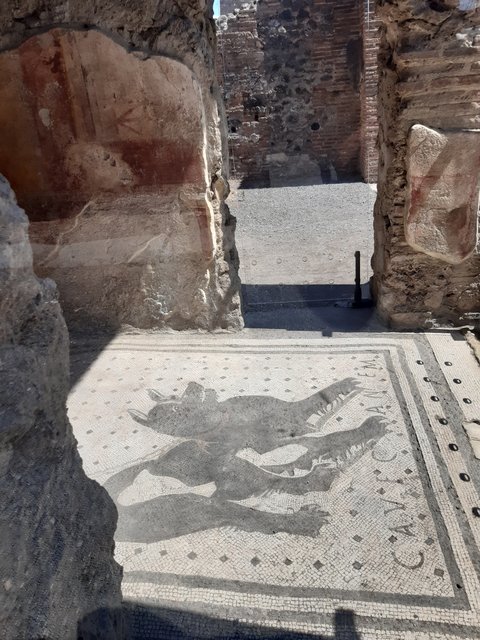 Nápoles y algo más y algo menos. Agosto 2022 - Blogs de Italia - De Sorrento a Pompeya. De Pompeya a Nápoles y de Nápoles a Barcelona (16)