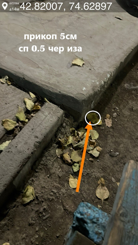 photo 2025 11 25 15 19 37