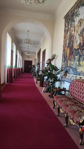 Castillo Zbiroh-21-9-2025 - República Checa y sus pueblos-2025 (16)