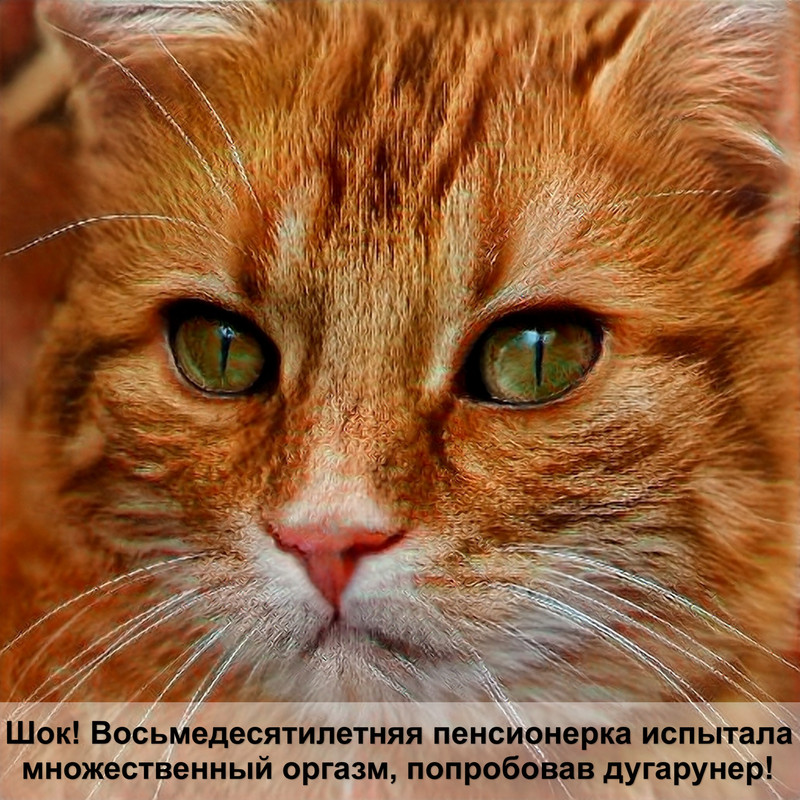 породы кошек дикого окраса