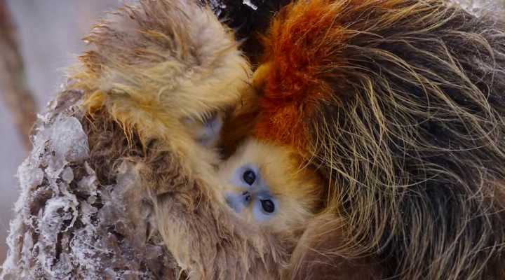 vlcsnap-2018-10-29-22h22m02s213