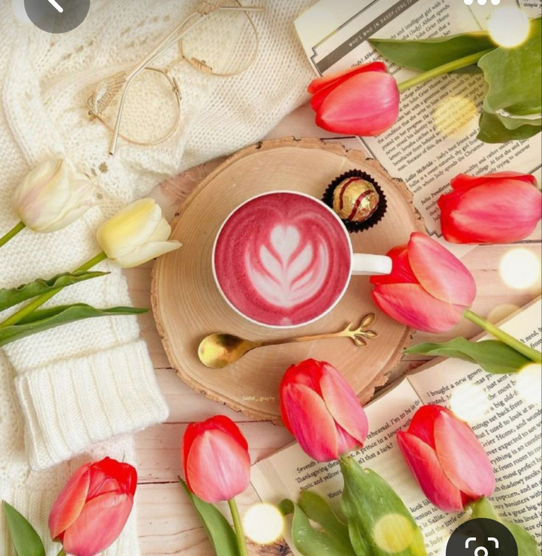 Screenshot_20230517_004908_Pinterest