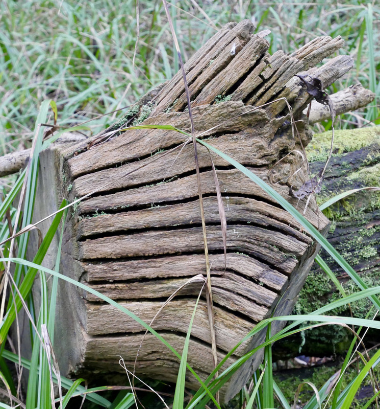 CE13A846-7E00-4F64-819A-A54D3E753C58