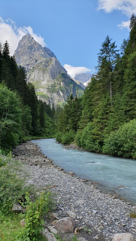 CÓMO SUIZA NOS ATRAPA POR 5º VERANO CONSECUTIVO + CARENNAC Y LOUBRESSAC - Blogs de Suiza - ROSENLAUI: otra perspectiva del Eiger (2)