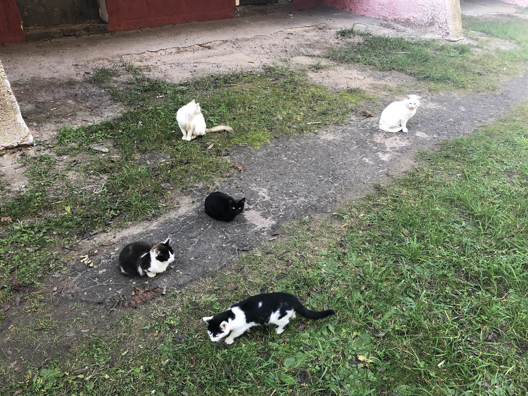 161AA8C9-9591-4AB3-8883-8D4F97295697