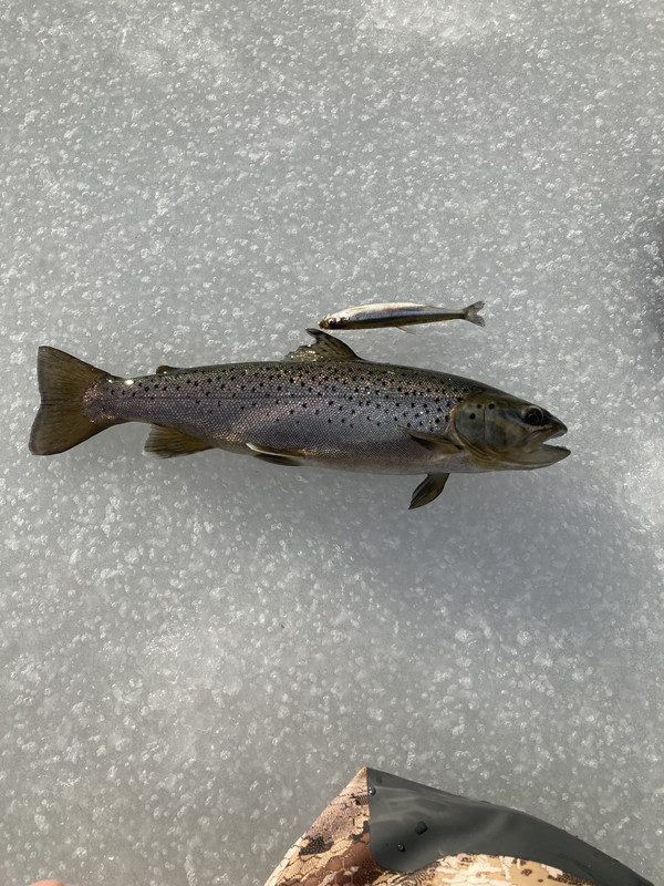 5DFB6C7A-5DC7-4D2C-9F2D-35C4B4CAEC80