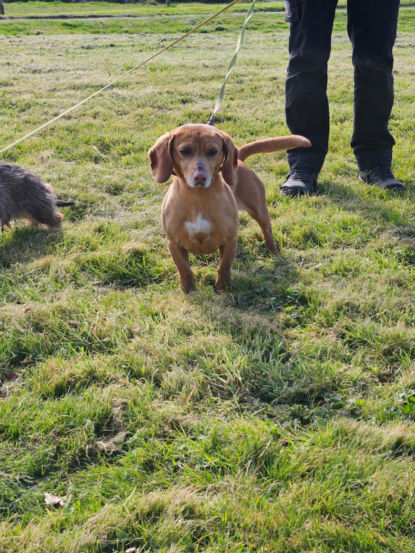 [Image: IMG-20250319-WA0009.jpg]