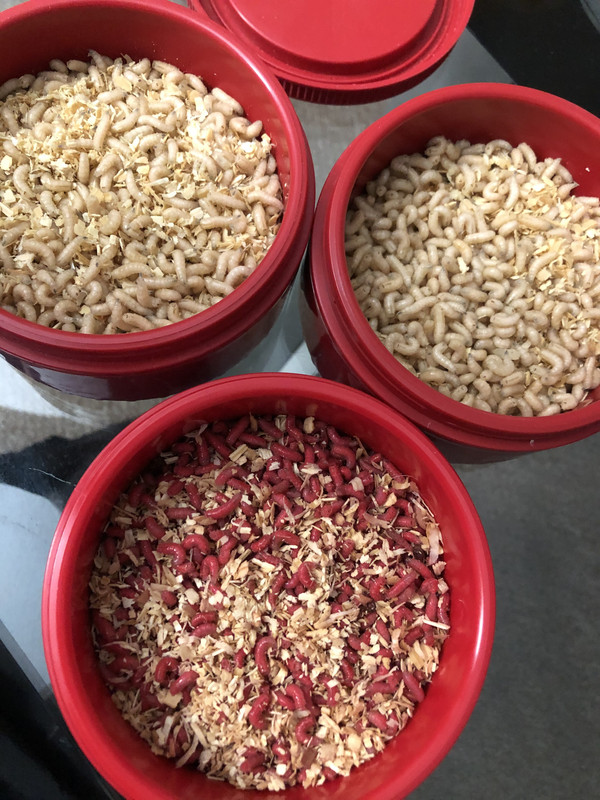 4C1E8EB4-CC26-4318-BCAB-BE3466EADC46