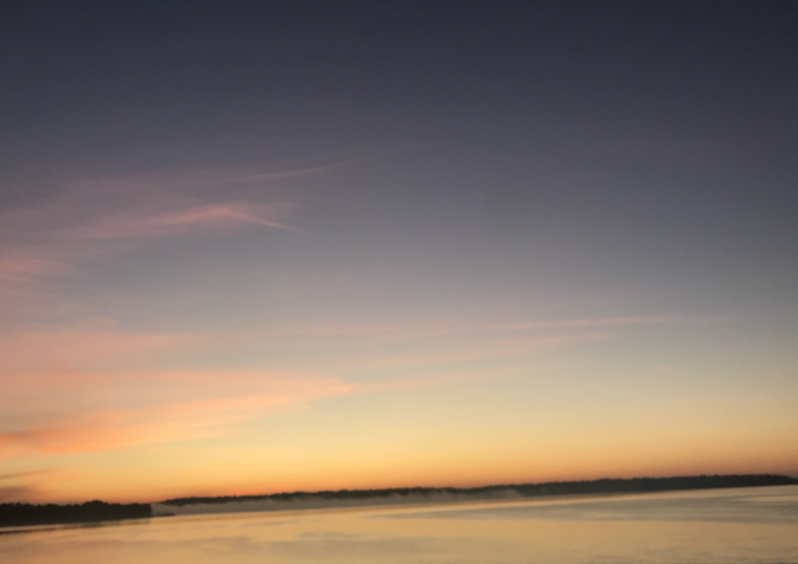 CD160819-5E8E-4875-AE77-3496F39E975D