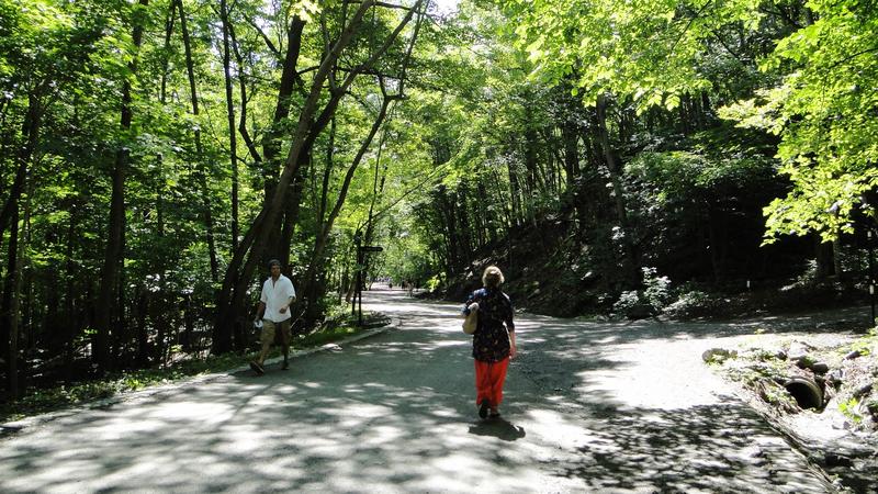 Montreal - 3.000 km por el este de Canadá (19)