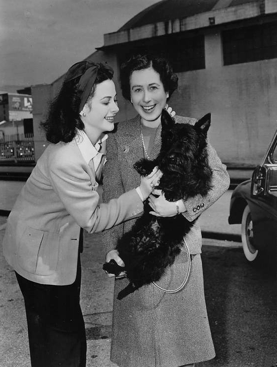 Hedy_Lamarr_e97