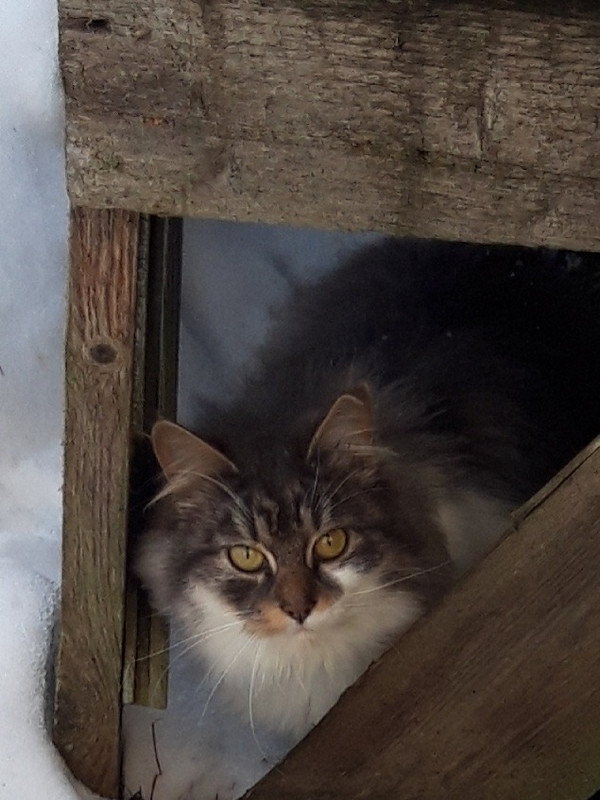 979C0096-4646-4813-B30B-D7E7C6EB46D3