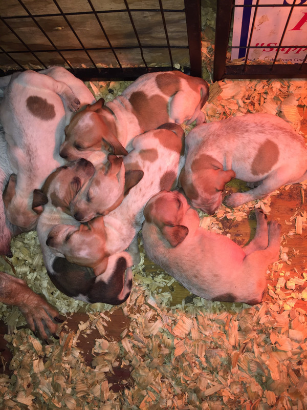 38AF6D44-00A7-45AF-95DD-B0446AE6BFC2