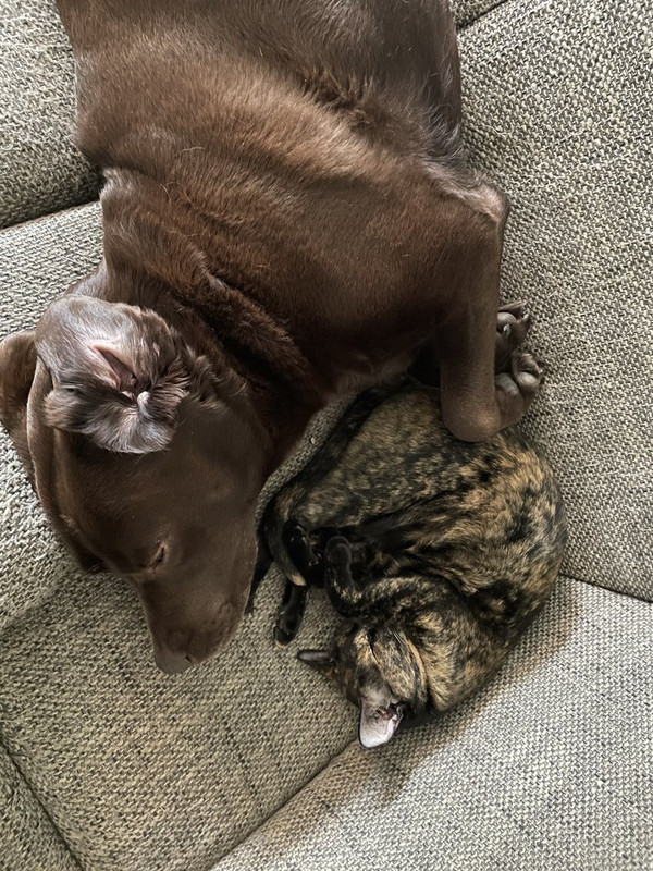 742FAAA6-DFB3-4D6F-9D1D-F90779261B3A