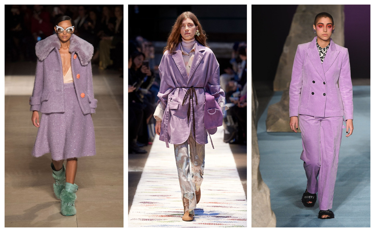 color trends