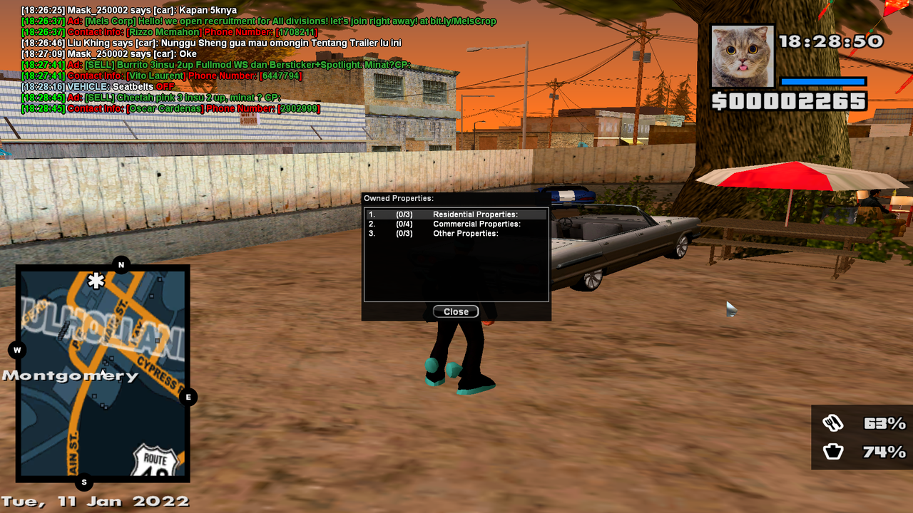 sa-mp-029.png