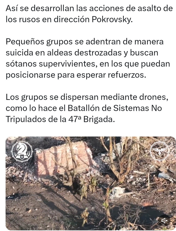 Screenshot_2024-08-21-16-24-19-607_com.twitter.android-edit