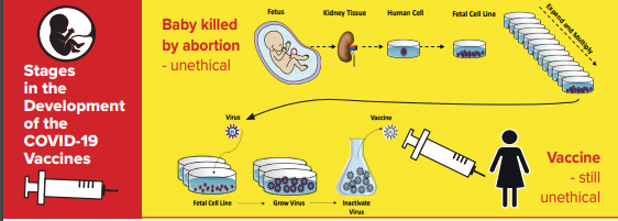 [Image: Graphic-Abortion-Vaccines.png]