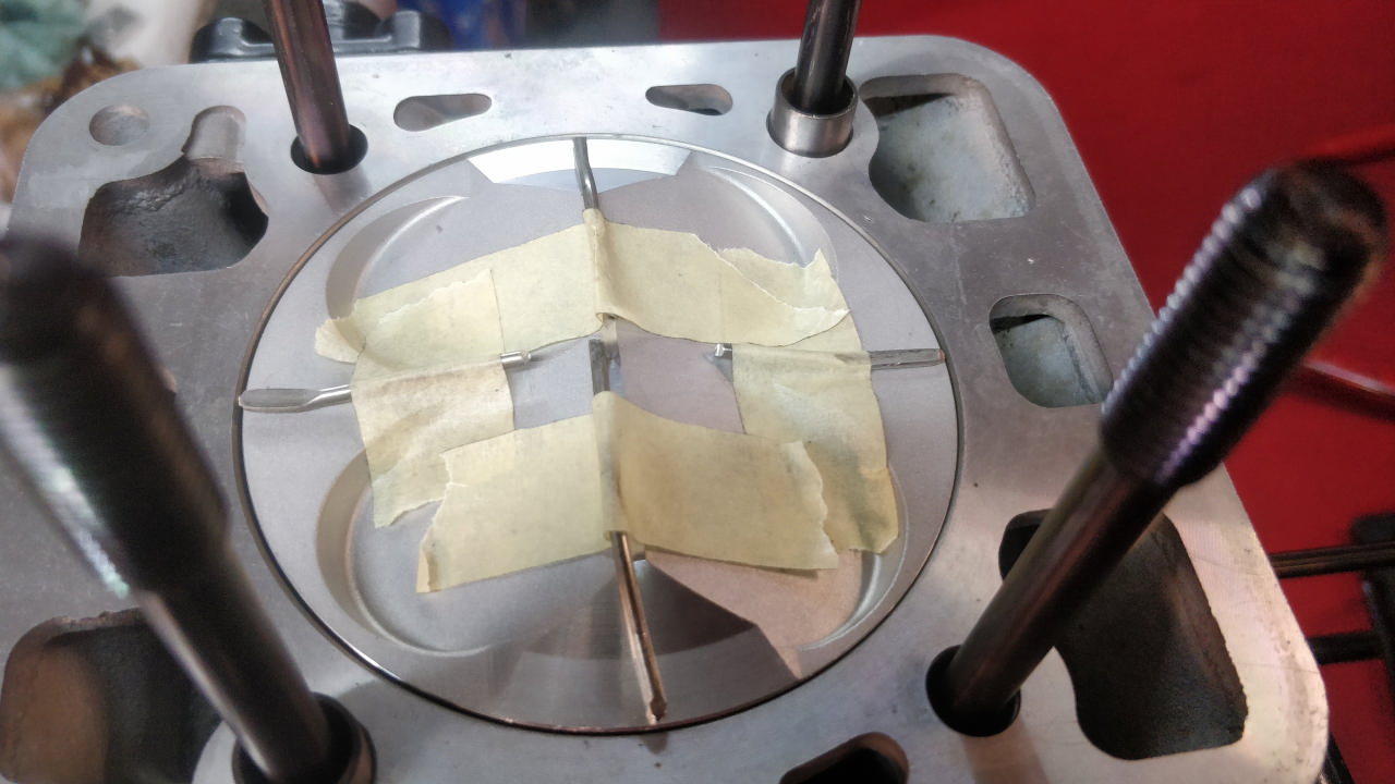 Squish apres ecrasement (1)