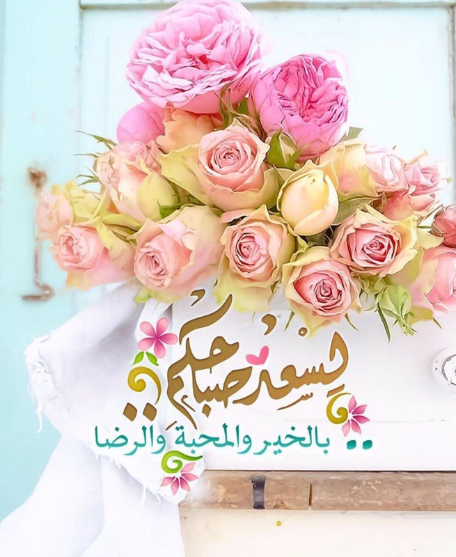 56B9D509-CFF7-49FC-BC79-F92ADD84D11A