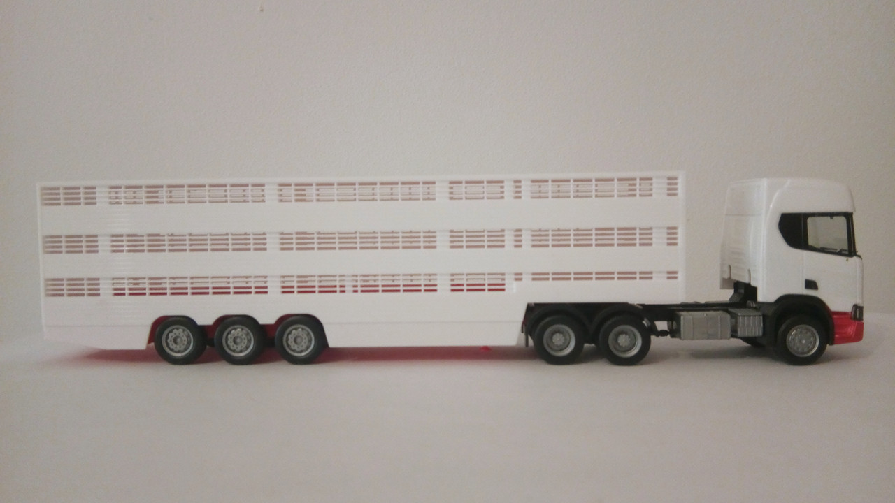 Mache (9196)