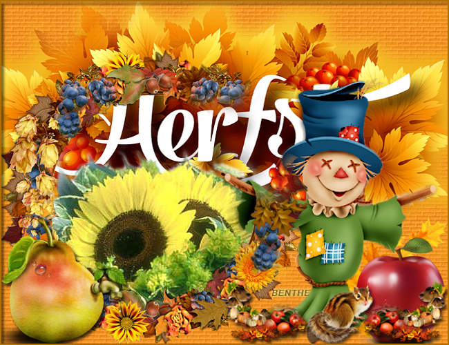 herfst-11